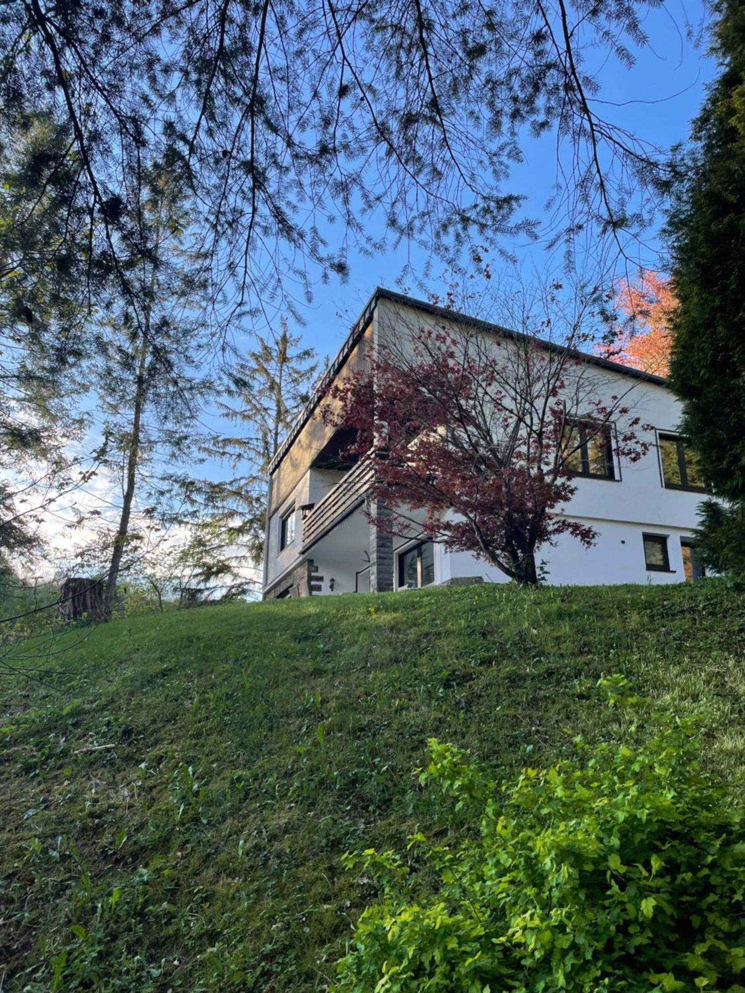 Talblick Chalet Blankenheim Blankenheim  Exterior foto